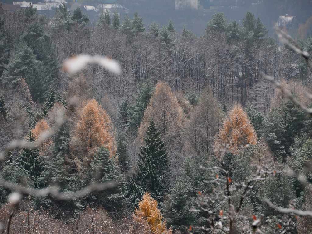 Foto Peste Balta lui Pocol (c) Lucian Petru Goja